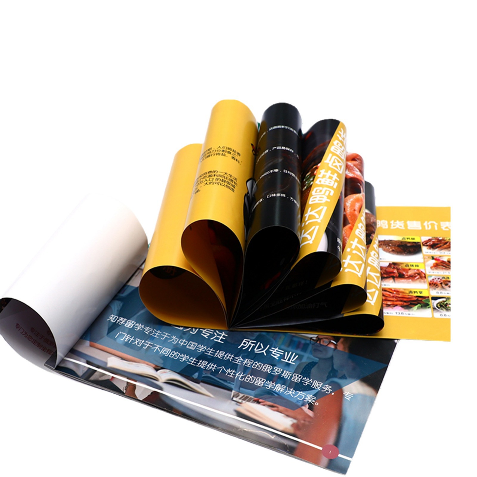 flyer printing picture album design product manual printing triple folding poster color page menu advertising paper printing