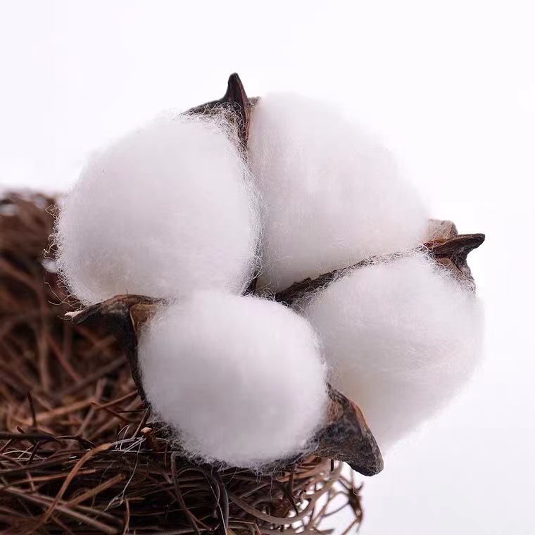 Natural Kapok Head Dried Flower Bouquet Decoration Material Photo Props Accessories DIY Handmade Garland Material Cotton