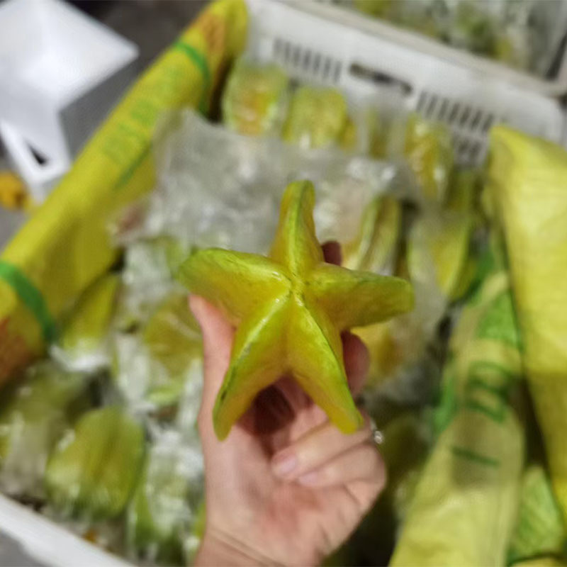 [Free Sour Plum Powder] Fujian Starfruit Fire-Reducing Fruit for Pregnant Women Sweet and Sour Starfruit Seasonal Fruit 3/ 2.5kg Wholesale