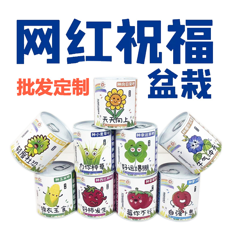 Children Plant Small Potted Plants, Blind Box Mini Flower Farmer Kindergarten, Primary School Students Gift Plant Growth Observation and Germination