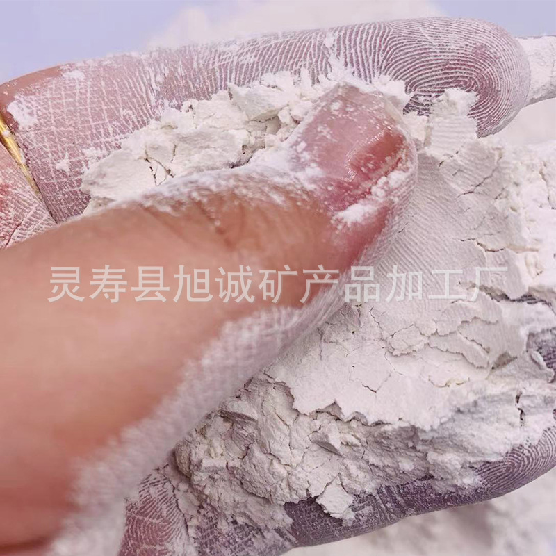 Wholesale Ground Shell Powder High-Calcium Aquaculture Feed for Chickens High-White Paint Calcined Shell Powder Shell Sand