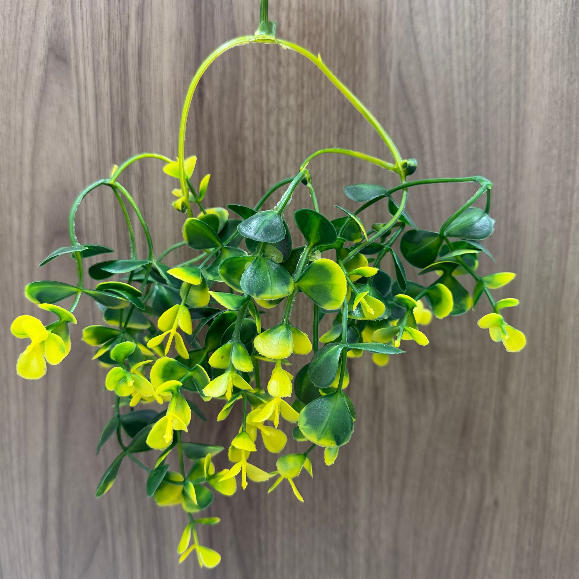 Manufacturer Wholesale Simulated Green Plants, Love Eucalyptus Leaves Decoration, Simulated Flowers, Handmade Simulated Green Plants and Aquatic Plants Accessories