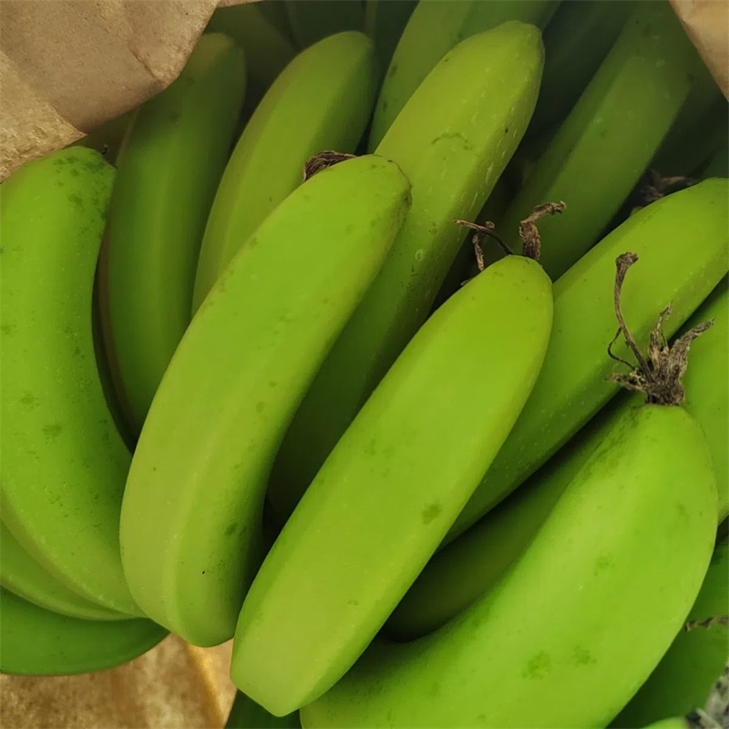 Guangxi Williams Banana Fresh Whole Box Seasonal Free Shipping Fresh Fruit Williams Banana Dropshipping