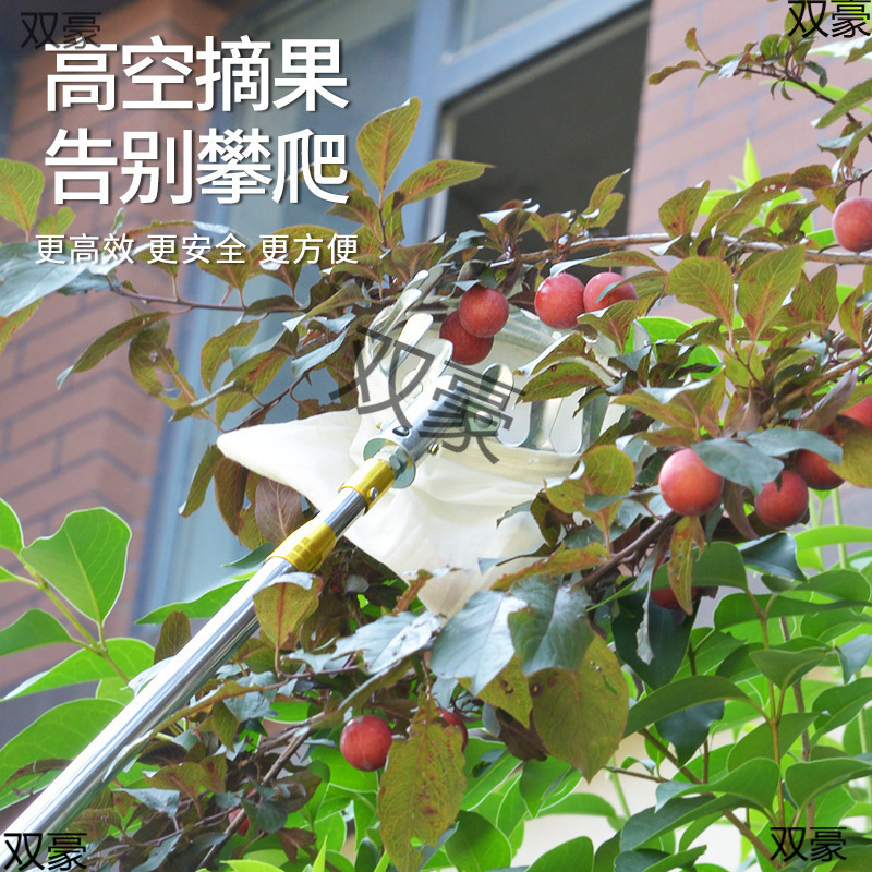 High-Altitude Fruit Picker for Persimmons, Peaches, Dates, Plums, Pomegranates, Loquats, and Walnuts with Telescopic Rod