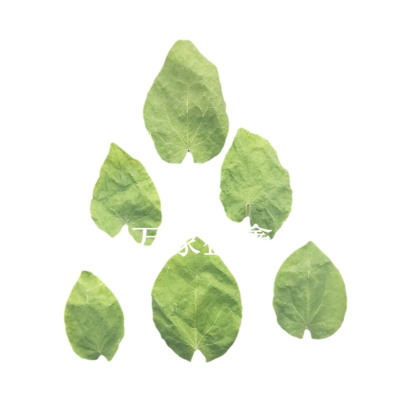 Epimedium Gansu Longnan wild small round leaf whole plant whole leaf epimedium specifications complete foreign fire leaf a generation of hair