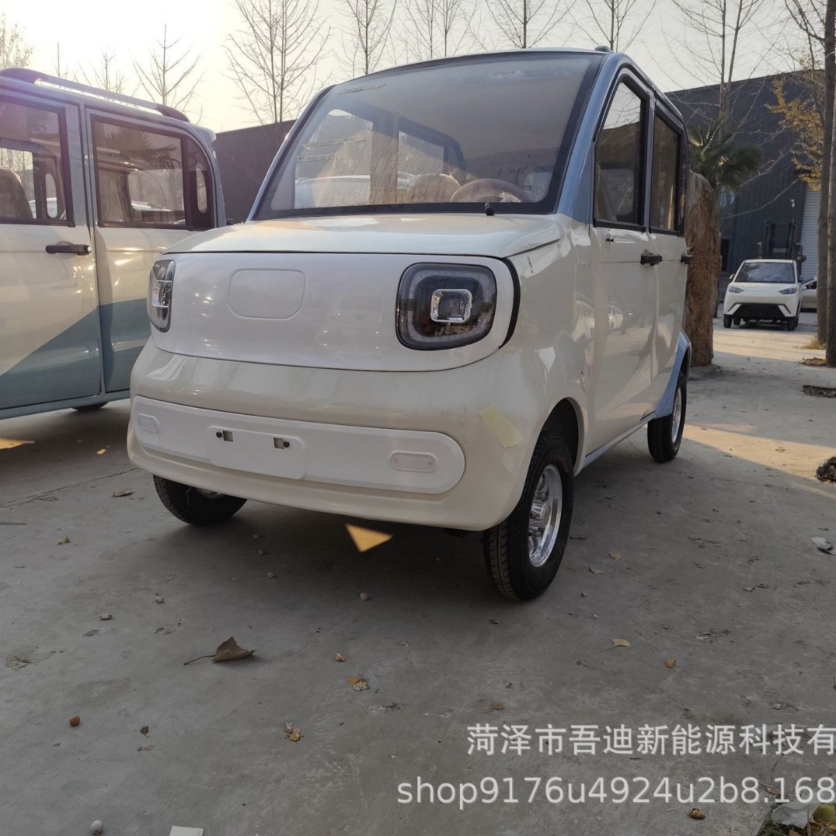 New Energy Electric Vehicle for Adult Household Use, Electric Car with Heating and Cooling Air Conditioner, Dual-Use Oil and Electricity, Foreign Trade Export Electric Vehicle