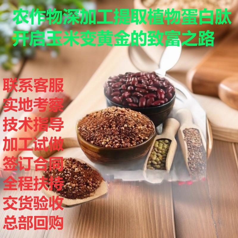 Глубокая переработка урожая для извлечения растительных белковых пептидов открывает путь к богатству, превращая кукурузу в золото. Поддержка повторной покупки