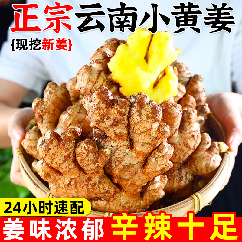 Новая мелкая куркума из Юньнани, старый имбирь, свежая куркума, грунтовой имбирь, только что выкопанный имбирь, молодой имбирь, свежий имбирь, молодой имбирь 5кг бесплатная доставка