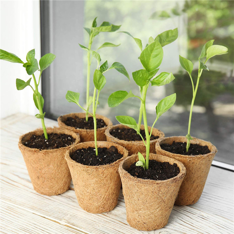 Biodegradable Pulp Seedling Cups Amazon Garden Flower Cross-Border 12-Grid Plant Pots Manufacturer Seedling Trays Wholesale