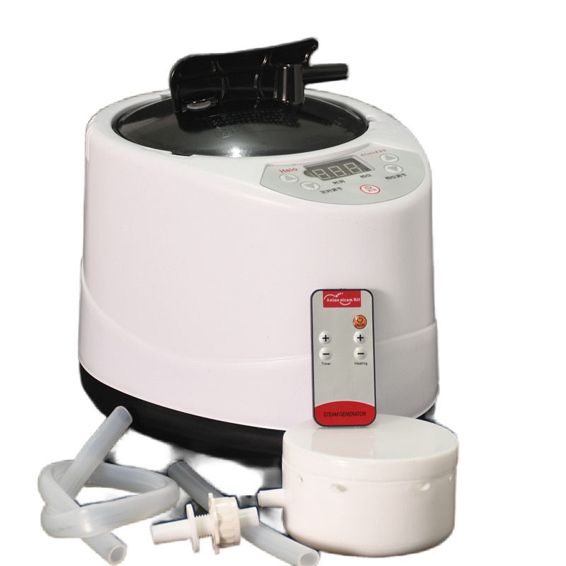 Cross-Border American Standard European Standard Household Steamer Steam Stainless Steel Liner Boiling Medicine Amazon Shrimp Skin Delivery Fumigation Machine