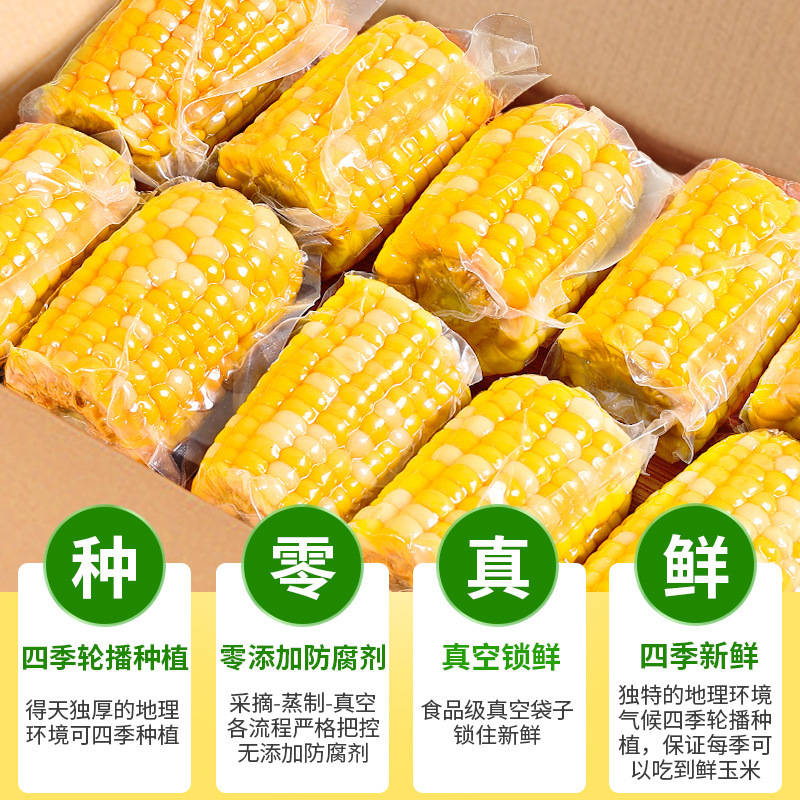 10kg Yunnan fruit sweet corn section open bag instant vacuum packaging corn student dormitory breakfast free-cooking meal