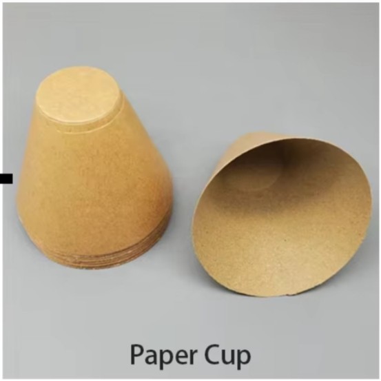 Paper Shell Paper Cup