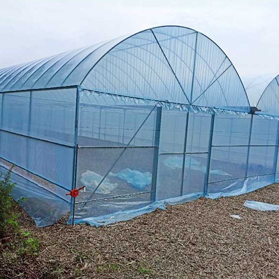 New Longevity Greenhouse Plastic Film Light Blue Drip-Free Film Black and White Film Po Film Greenhouse Transparent Thermal Insulation Rainproof Plastic Film