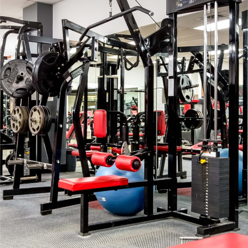 High Pull-Down Fitness Equipment Accessories, Gantry Frame, Bird Sitting Rowing, Pulley Fitness Wire Rope Joint