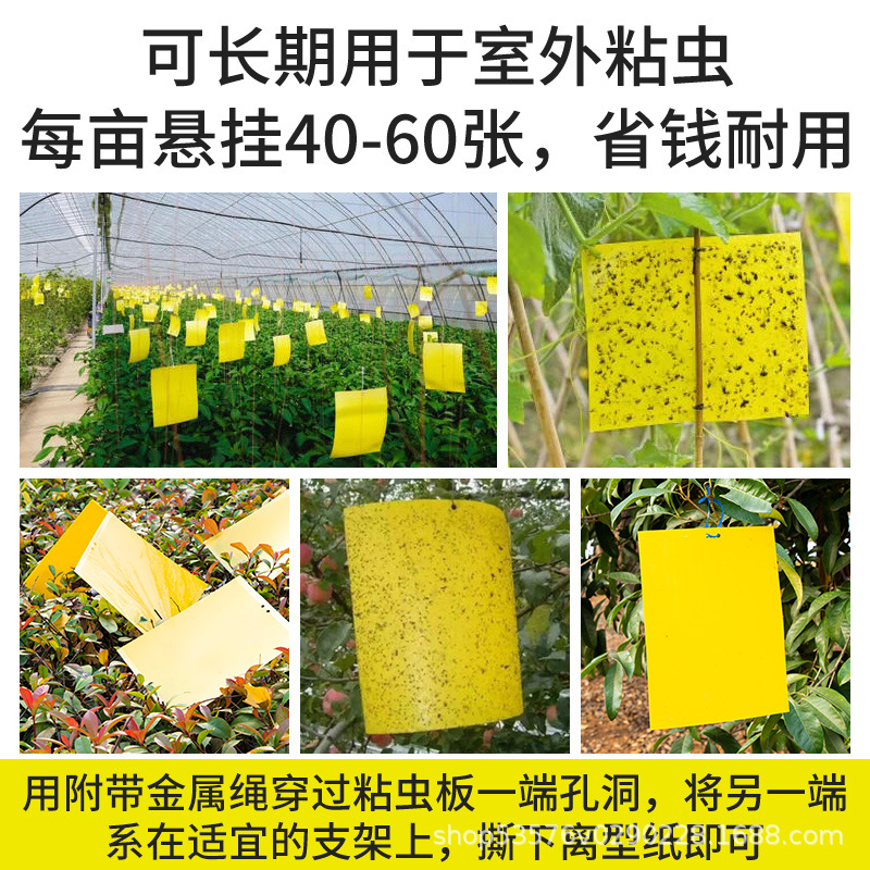 Sticky Insect Board Yellow Board Double-sided Trap Board Sticker for Small Flying Insects Drosophila Trap Orchard Mosquitoes Flies Greenhouse