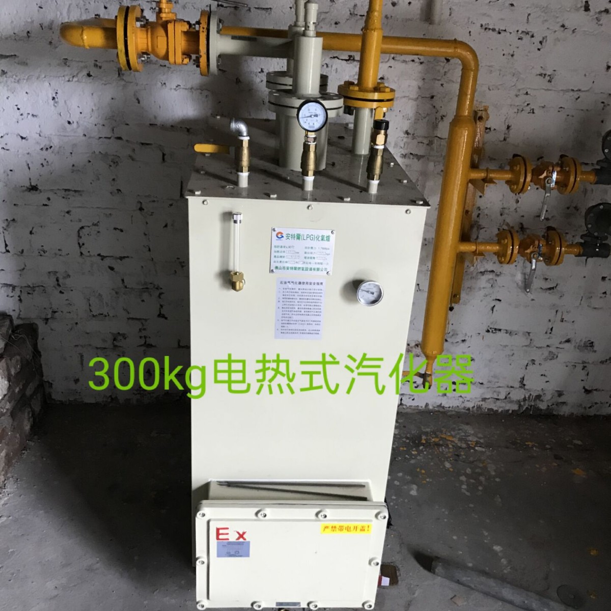 100kg 200kg 300kg 400kg 500kg Electric Heating Gasifier Industrial Pot