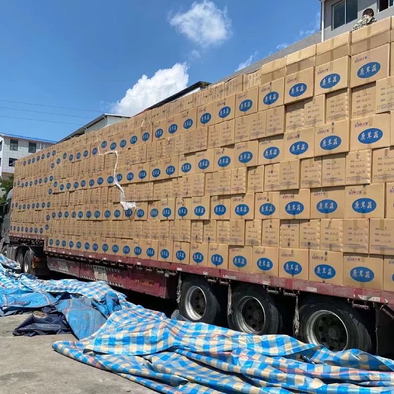 Factory Direct Sales of Velvet Antler Mushrooms, Dry Goods, Velvet Antler Mushrooms, Bulk Wholesale Brand, Complete Specifications, Crispy Mushrooms