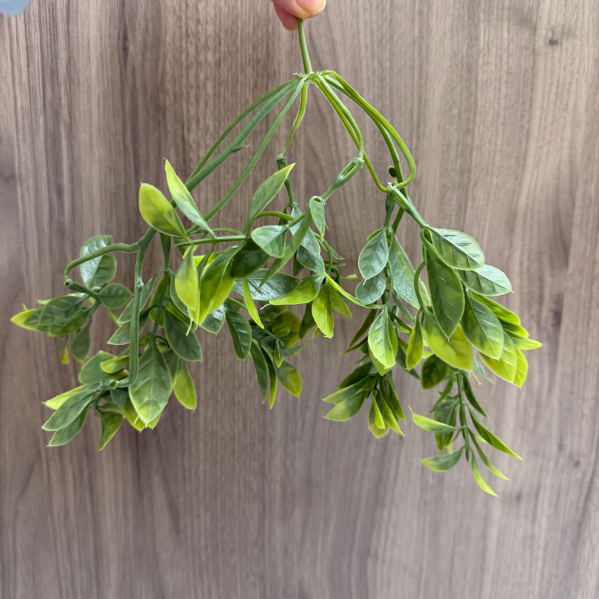 New Simulated Aquatic Plants Wholesale, Various Styles of Simulated Green Plant Accessories, Materials, Home Desktop Simulated Plants