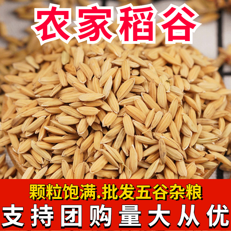 Рис, дропшиппинг, очищенный рис, корм для кур, уток, гусей, голубей, птиц