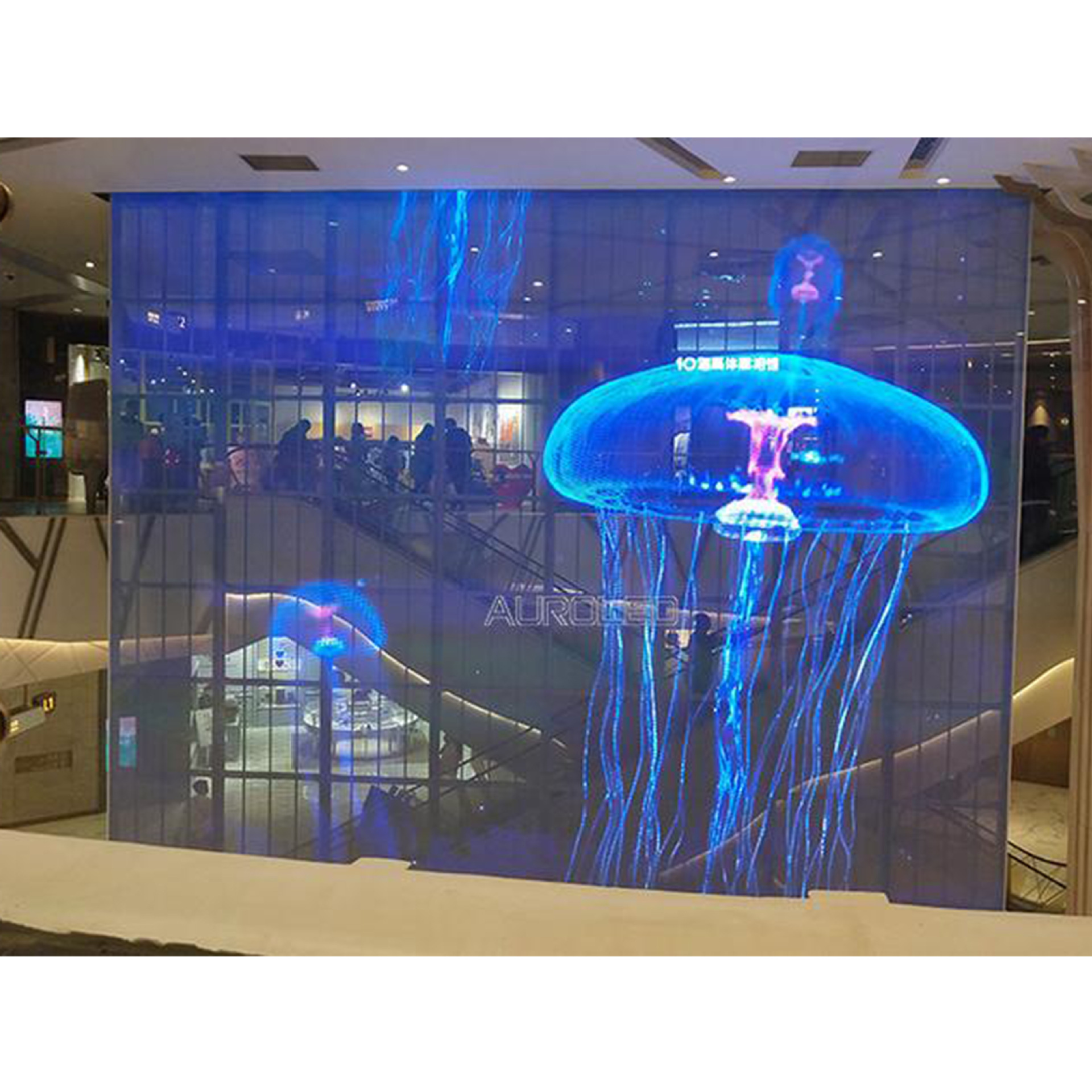 Transparent Flexible Crystal Display Mall Window Glass Tape Text Function Led Advertising Panel