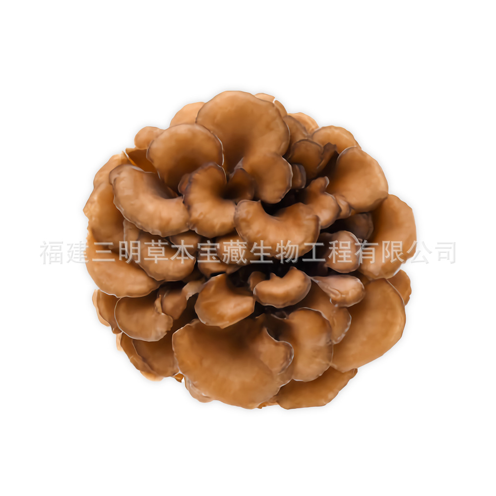 Фуцзянь происхождение грифа цветок сушеные продукты оптом грифа цветок маленький цветочный суп съедобный гриб в наличии упаковки могут быть переработаны по заказу