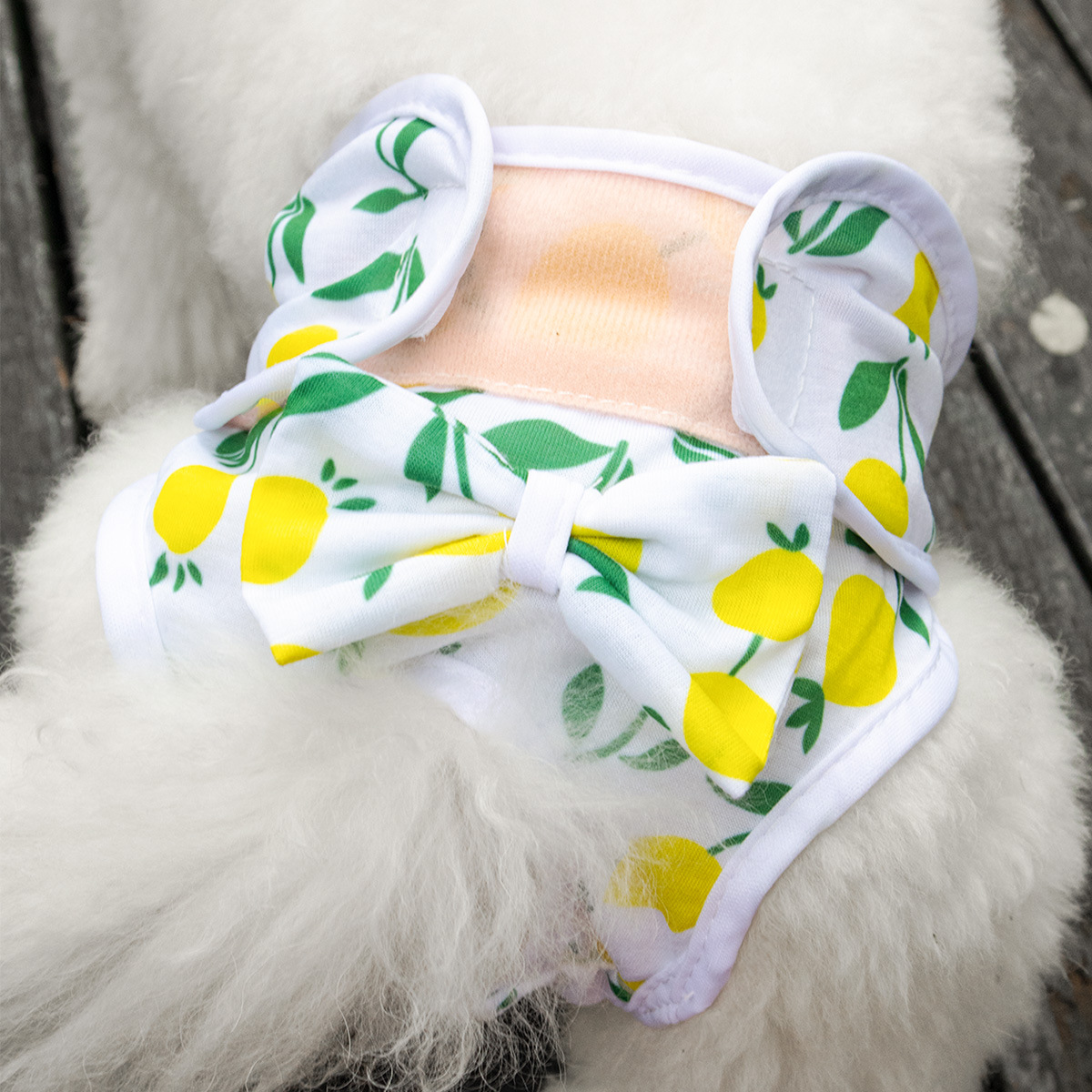 Cross-border Amazon Explosive Dog Pants Teddy Menstruation Pants Aunt Pants Anti-harassment Pants Suitable for Small Dogs