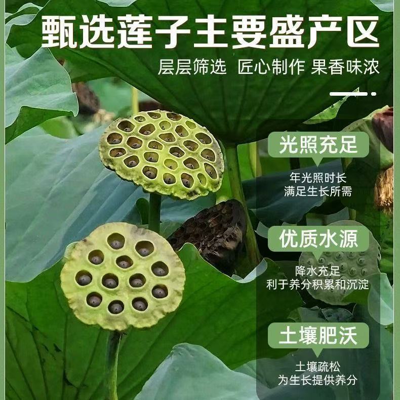 Crispy Dehydrated Lotus Seeds, Ready-To-Eat, Crispy Roasted Lotus Seeds, Dehydrated Vegetables, Snacks, Fruits and Vegetables, Individually Packaged
