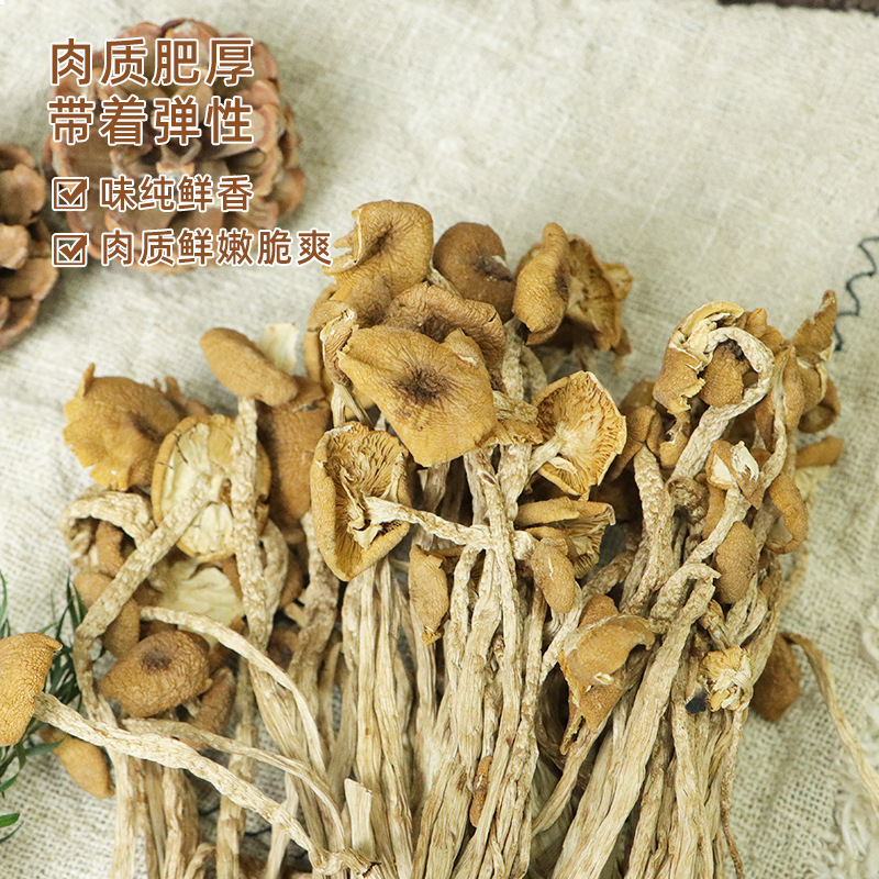 Dry tea tree mushroom 150g factory wholesale umbrella edible fungus mushroom soup material a generation of hair