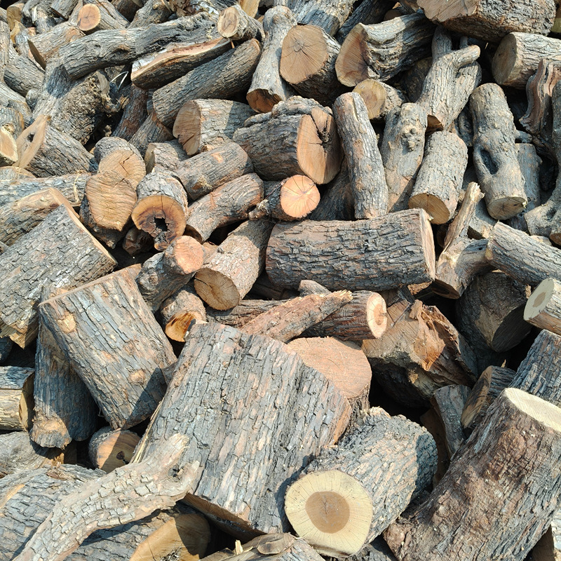 Jujube Wood Firewood for Outdoor Barbecue Camping, Landscape Decoration, Hardwood for Burning, Durable Firewood for Grilling, Roasting Duck, Fruit Wood