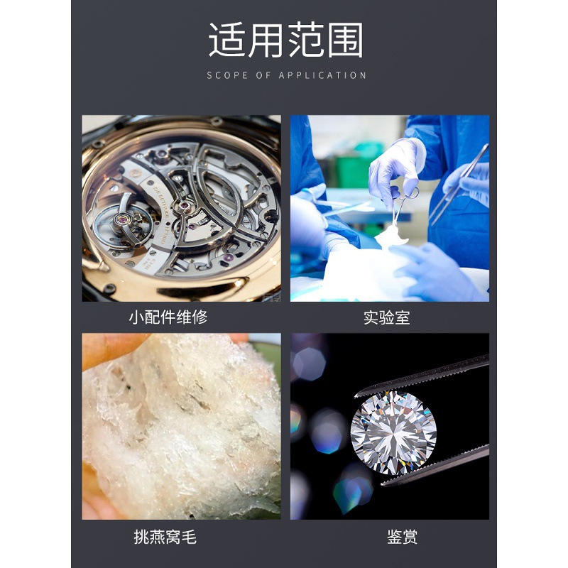 Thickened Stainless Steel Tweezers Tool for Handmade Succulents, Fish Tank Aquatic Plants, Extended Tweezers with Large Curved Head, Specialized for Gardening