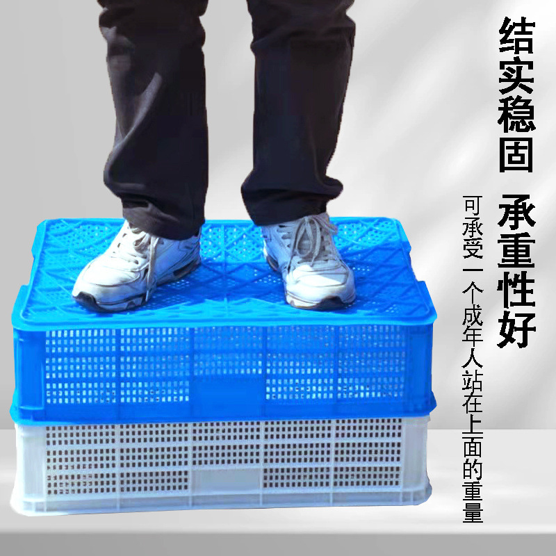 Turnover Basket Plastic with Lid for Breeding Plastic Rectangular Flat Mushrooms Live Shrimp Fruit and Vegetable Transportation Lobster Amazon Dropshipping