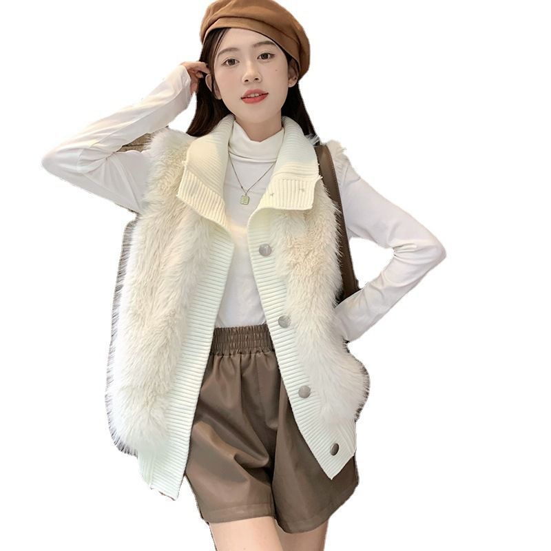 Korean Style Stand Collar Mink Velvet Sleeveless Sweater Women's Outwear 2025 Autumn and Winter New Loose Elegant Elegant Knitted Cardigan