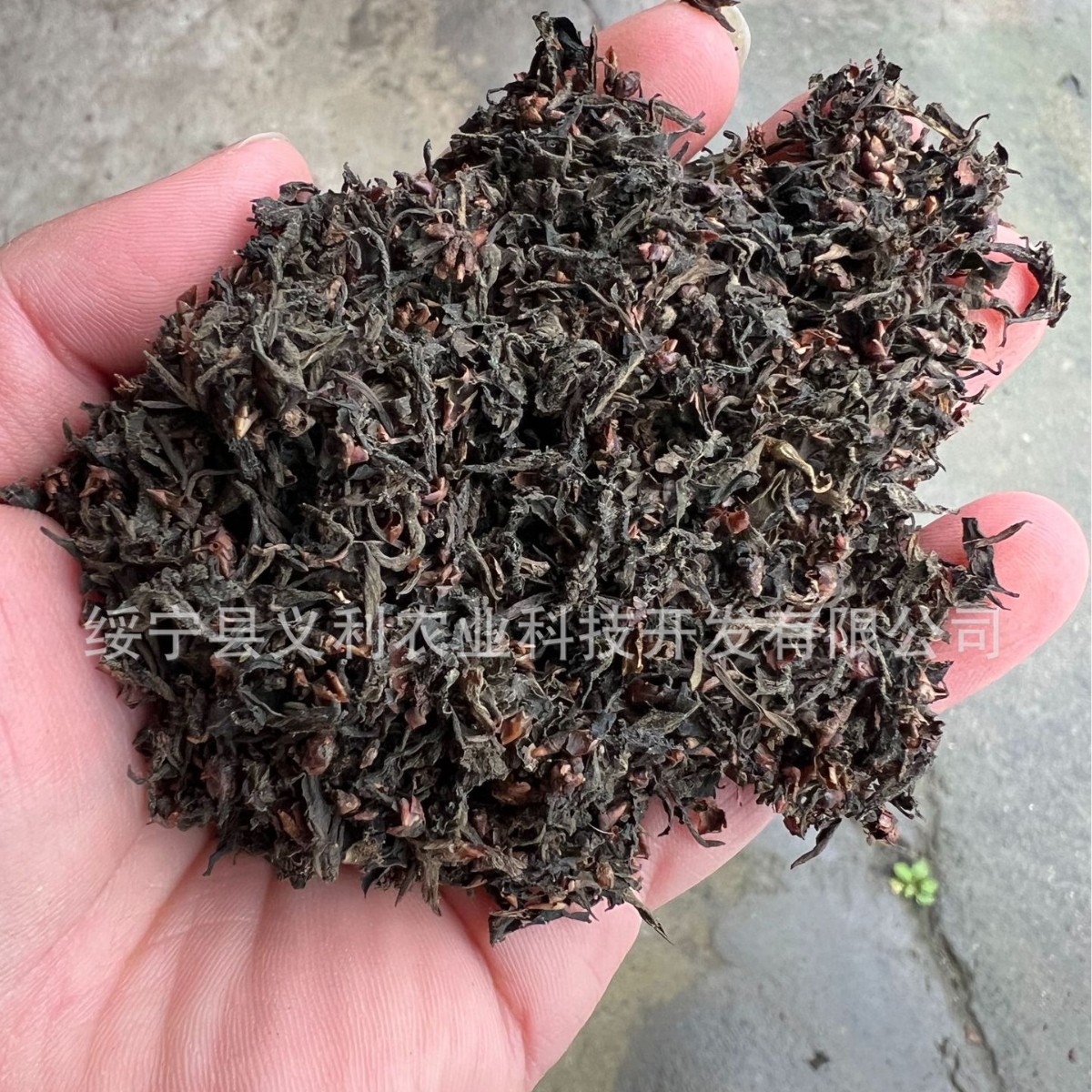 Wholesale Supply of Eucommia Male Flower Tail Material, Eucommia Tea, Eucommia Leaf Tea Tail Material, Foam