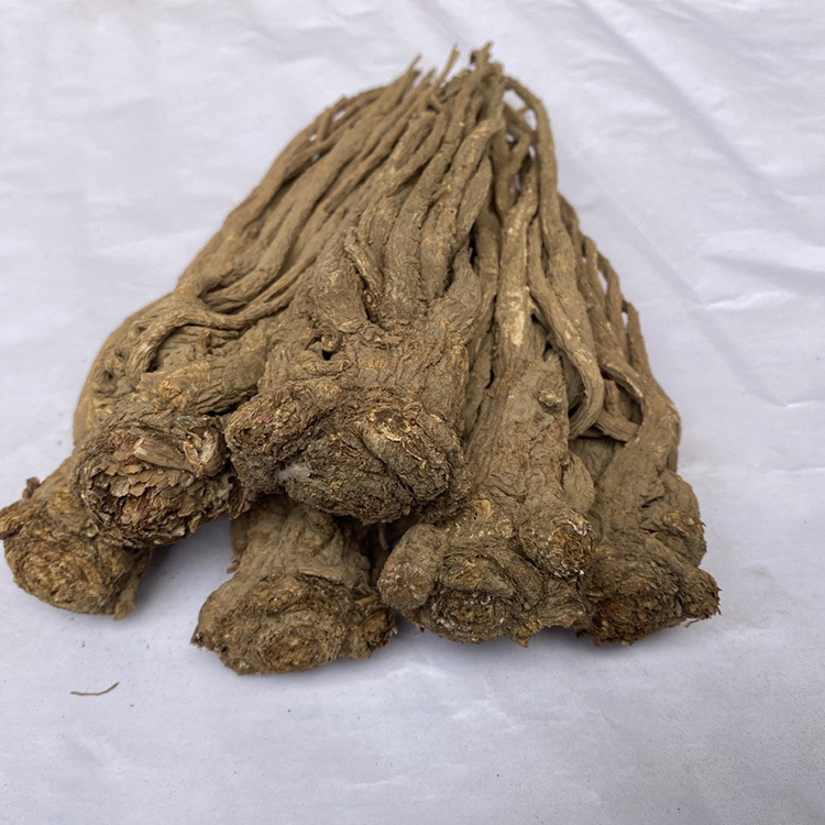 Gansu Minxian Sulfur-Free New Goods Whole Angelica Chinese Medicinal Materials Bulk Wholesale Large Favorably One Piece Dropshipping