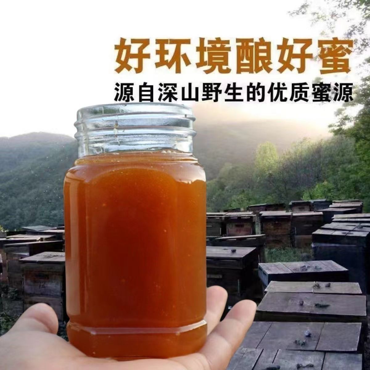 Pure Natural Wild Honey Produced by Farmers, Authentic No Additives for Pregnant Women, Direct from the Source Factory