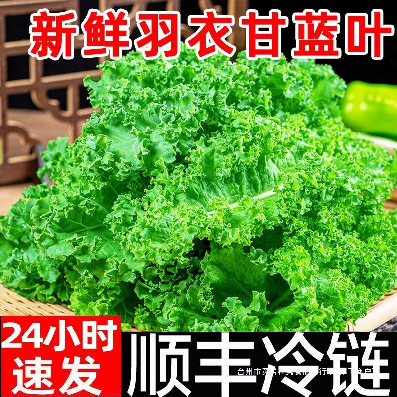 Fresh Kale Vegetables Edible Sf Free Shipping Juicing Roasted Slices Fitness Light Meal Western Salad Vegetable Sprouts