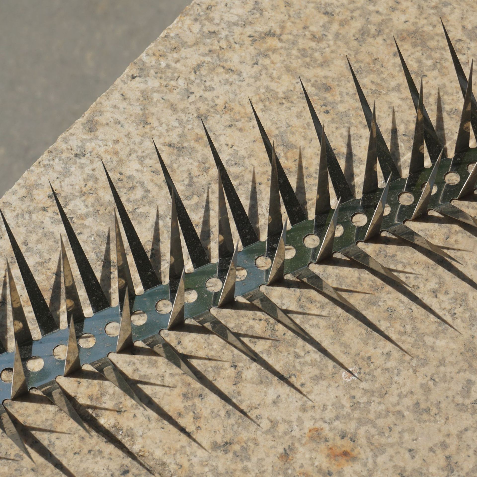 Stainless Steel Spikes to Prevent Cats from Scratching, Iron Spikes for Guardrails, Fences, Balconies, Spiked Boards, Spikes for Schools, Stainless Steel Spikes to Prevent Cats from Scratching