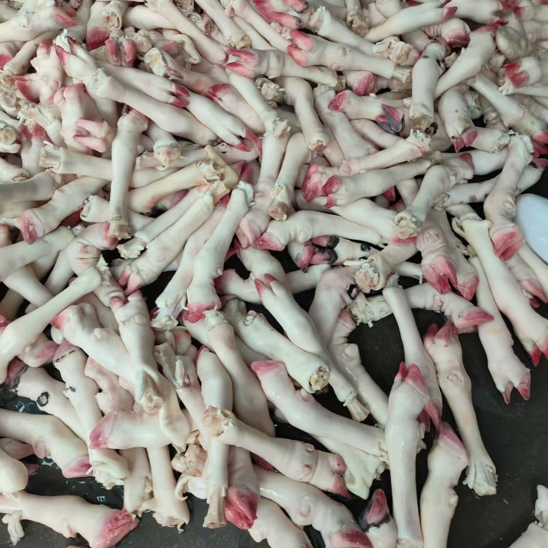 Fresh Sheep's Hooves with Tendons, Scalded Sheep's Hooves, Roasted Sheep's Hooves, Sheep's Feet, Sheep's Heads, Mutton Ingredients, Wholesale Stalls, Sheep's Hooves with Skin