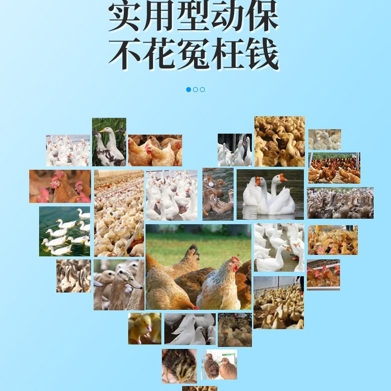 Wenlikang Poultry Chicken Plague Cold Lethargy Closed Eyes Lethargy Loose Feathers Listless Chicken Medicine Wenlikang