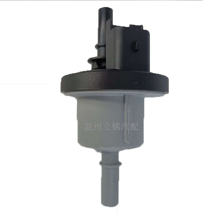 6001543631 82000024427 8200248821 for Renault Carbon Canister Solenoid Valve