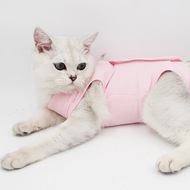 Cross-Border Cat Sterilization Clothing Velcro Weaning Clothing Breathable Elastic Anti-Licking Harassment Cat Clothing Pet Supplies Ready Stock
