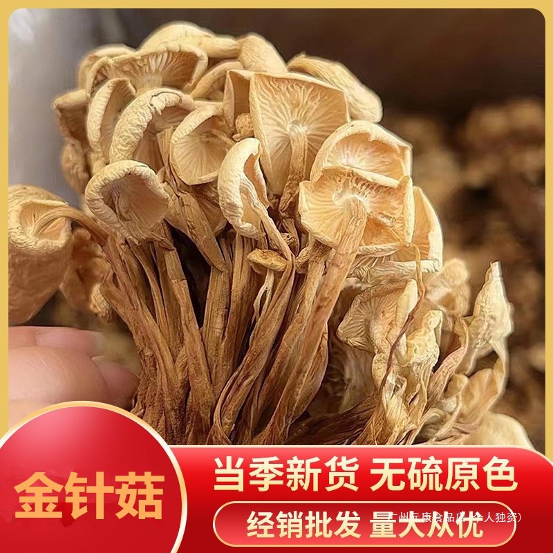 Новые оптовые сушеные грибы эноки, выставочные продукты на рынке, сушеные желтые грибы эноки