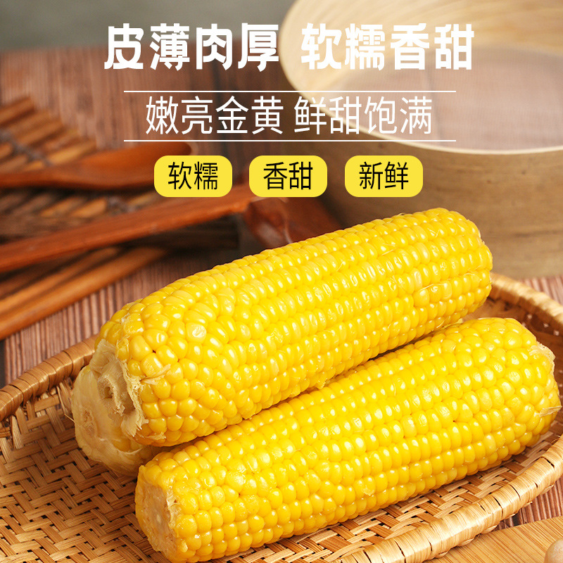 Vacuum-Packed Individual Corn, Northeast Corn, Yellow Corn, Whole Box, Whole Corn, Coarse Grain, Soft and Waxy Corn, Wholesale