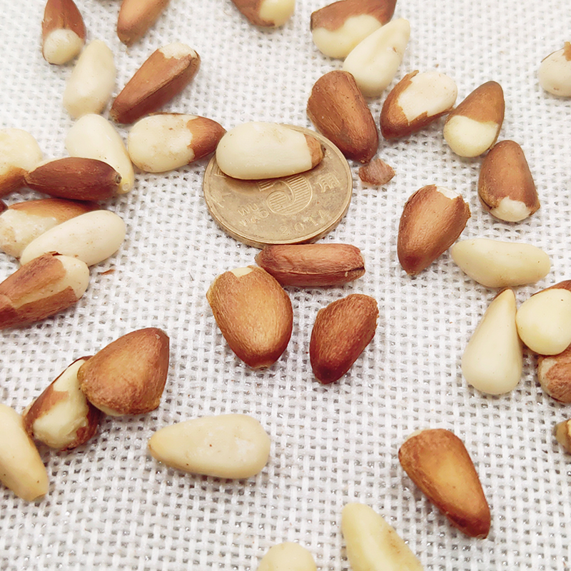 Large Open Pine Nuts 850, Cooked Pine Nuts, Raw Pine Nuts, Northeast Specialty, Hand-Peeled Open Pine Nuts, New Year's Nuts