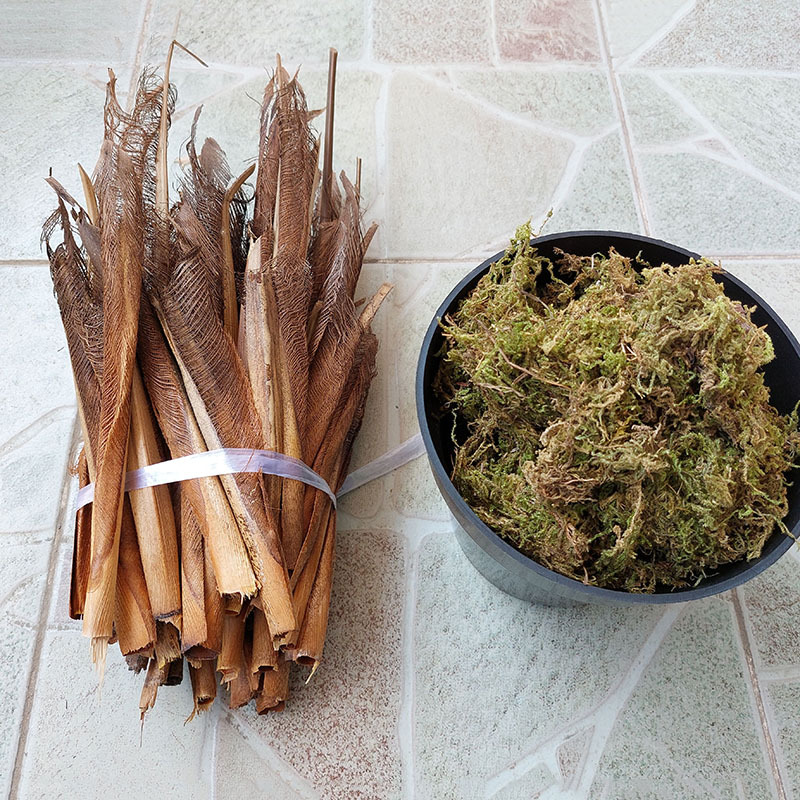 Real Tree Bark Brown Shell Artificial Green Plant Accessories Areca Palm Decorative Materials Dry Tree Bark Brown Indoor Decoration