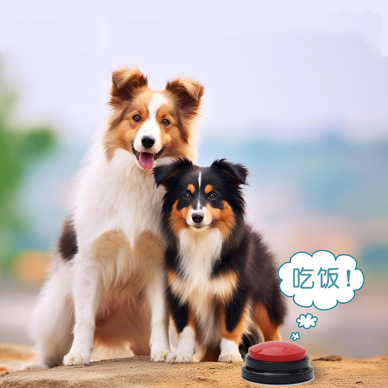Pet Communication Button Can Record, Train, Answer Questions, Relieve Stress, Game Responder, Recording Box, Shenzhen Yu