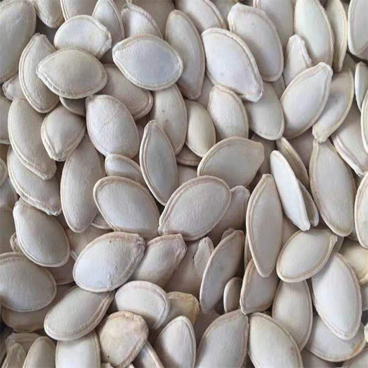Manufacturers wholesale a large number of pumpkin seeds original flavor pepper and salt bulk pumpkin seeds baking Nuts Raw materials 500g per generation
