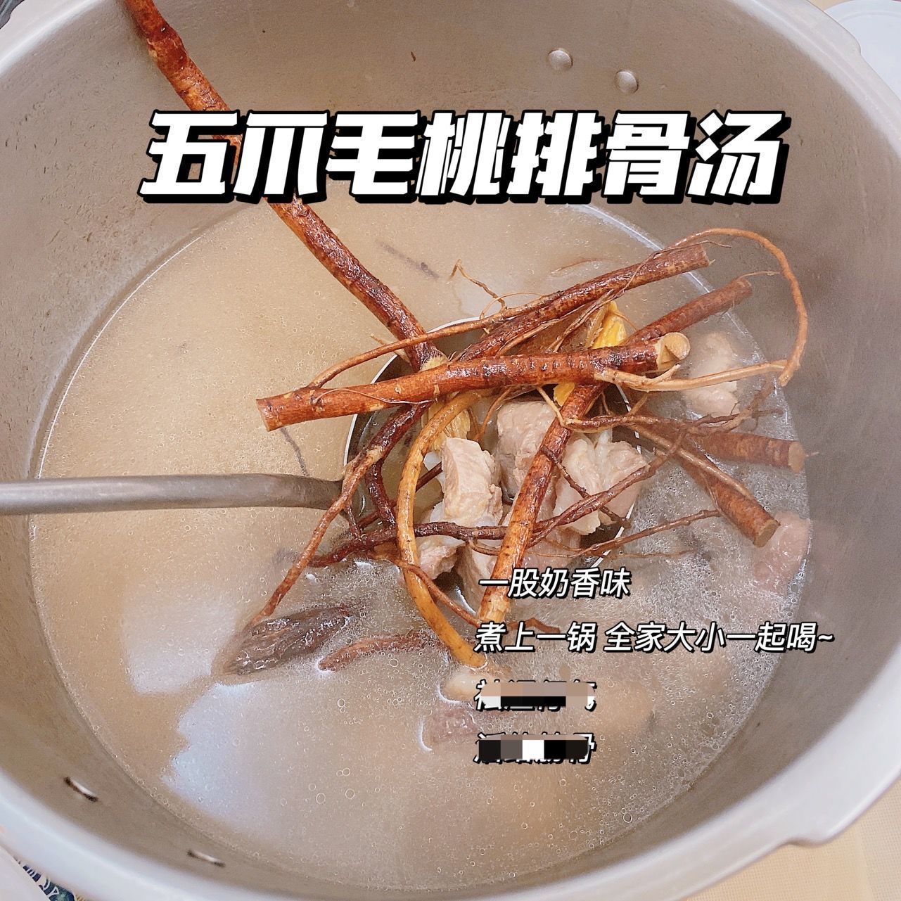 Five-Fingered Peach Soup with Dendrobium Officinale, Coix Seeds, Smilax Glabra, Five-Fingered Peach Soup Ingredients, Guangdong Delicious Soup, Other Items with Free Shipping