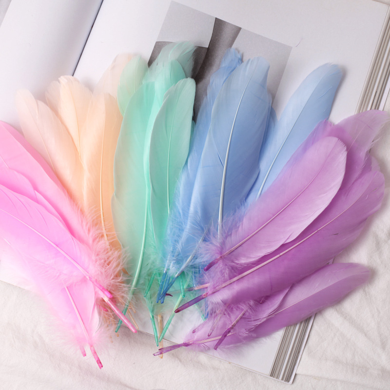 Feather factory wholesale shellfish feather goose feather kindergarten early education crafts diy jewelry handmade decoration materials