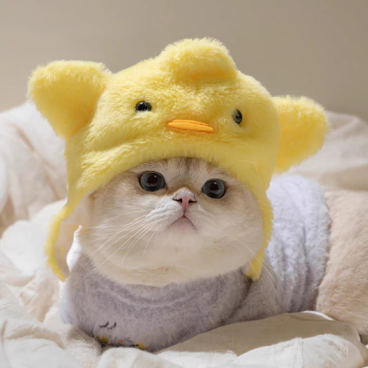 Cross-Border Pet Hat Decorative Headgear Plush Cross-Dressing Puppy Cat Bichon Cute Photo Headgear Funny